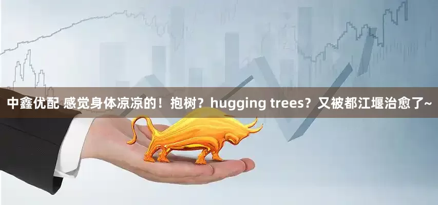 中鑫优配 感觉身体凉凉的！抱树？hugging trees？又被都江堰治愈了~