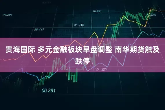 贵海国际 多元金融板块早盘调整 南华期货触及跌停