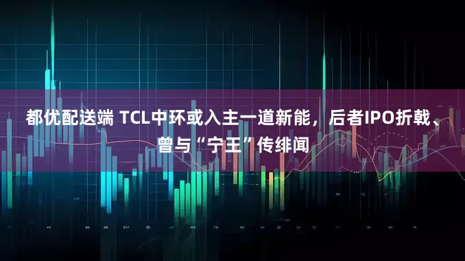 都优配送端 TCL中环或入主一道新能，后者IPO折戟、曾与“宁王”传绯闻